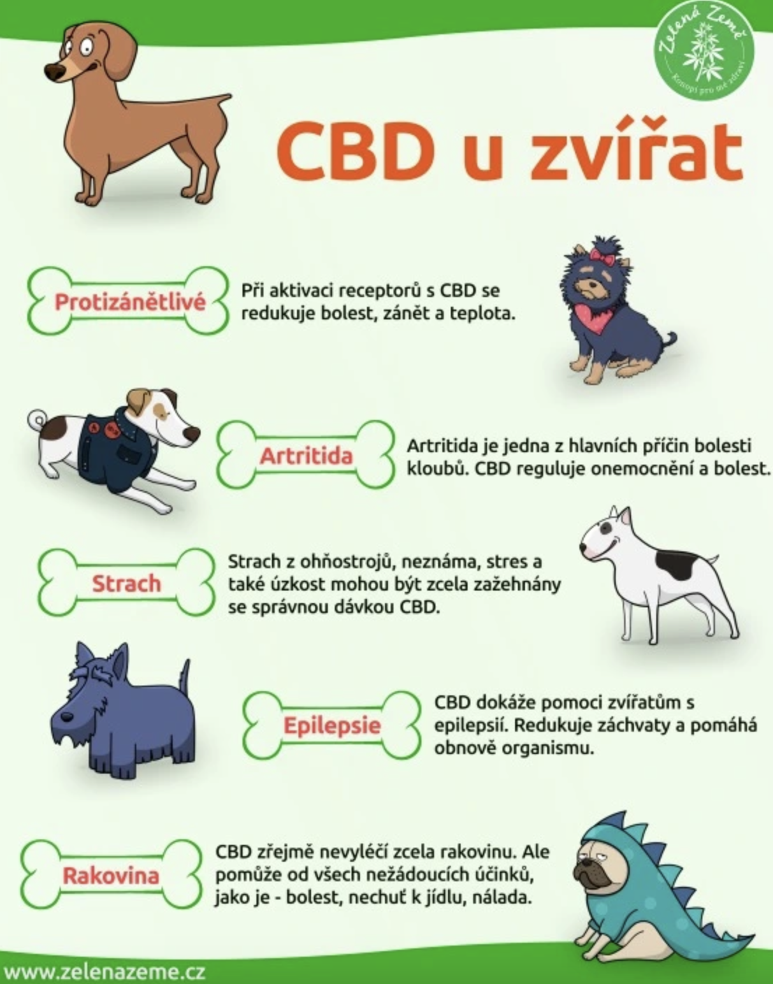 CBD u zvierat