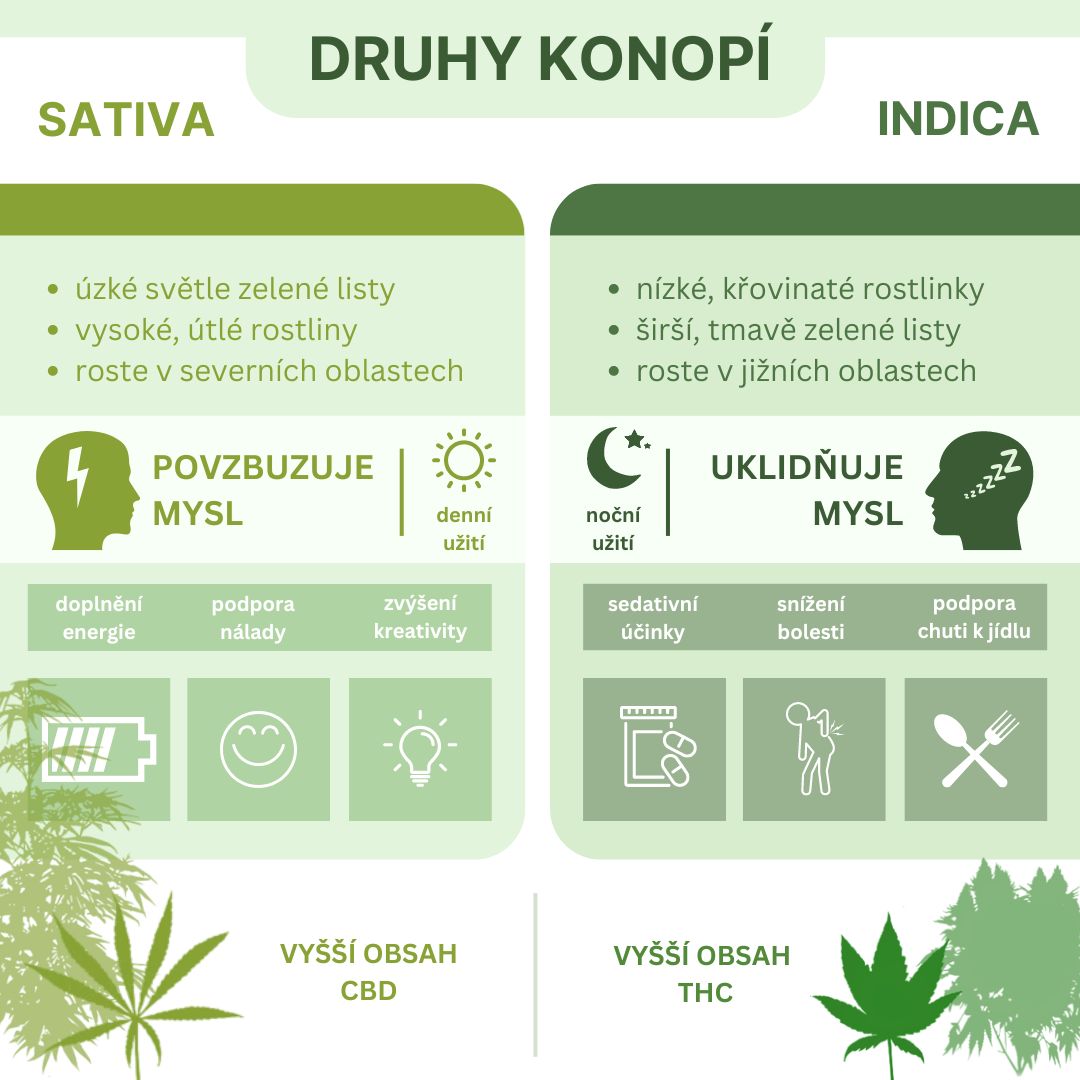 Aké poznáme druhy konope?
