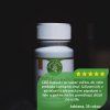 CBD-KAPSULY
