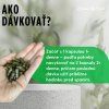 CBD-KAPSULY