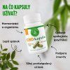 CBD-KAPSULY