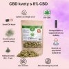 CBD-HERBA-8%