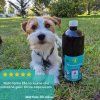 Konopný olej pre zvieratá 1000 ml