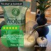 Reference-protein