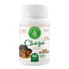 chaga nove