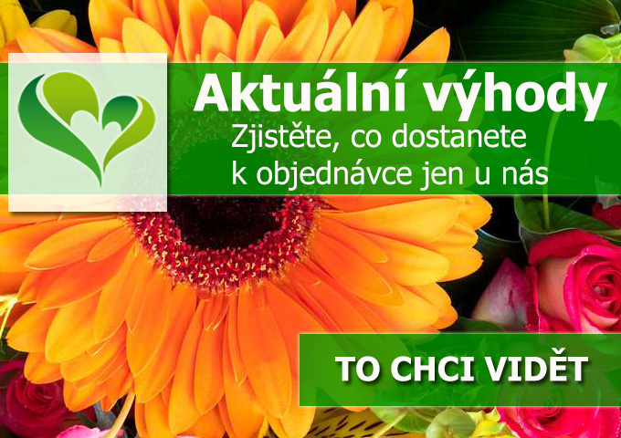 Aktuální výhody - mobil