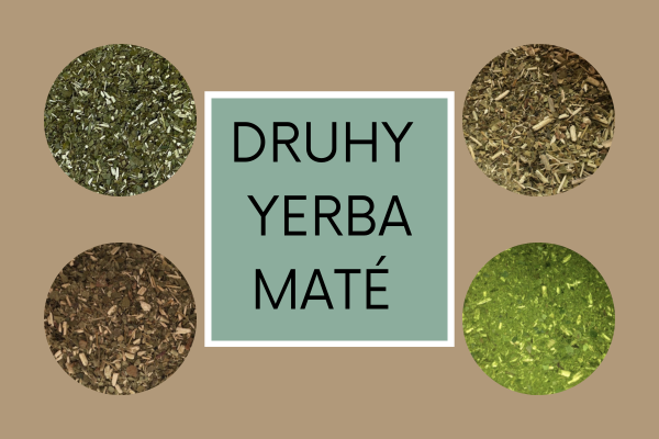 Druhy Yerba Maté