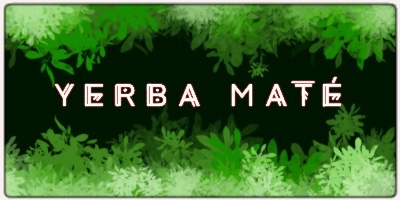 a Yerba Maté 1