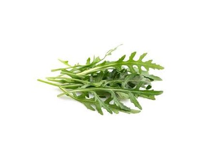 rukola