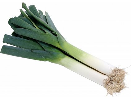 porek