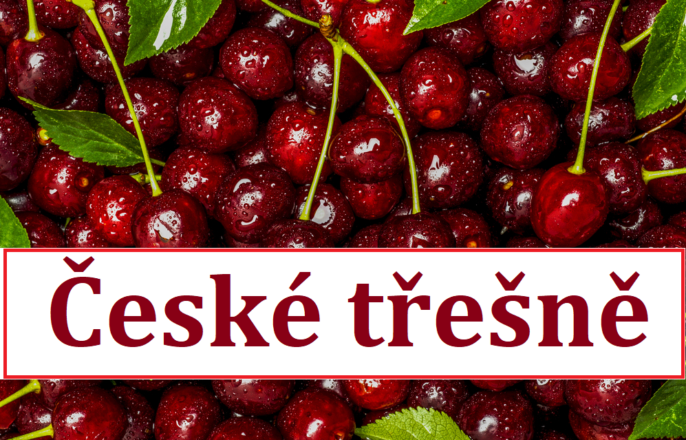 české třešně