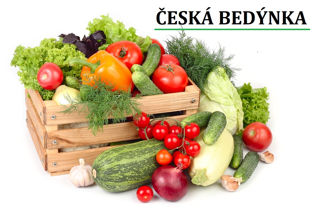 ceska bedynka