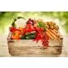 shutterstock 451979431