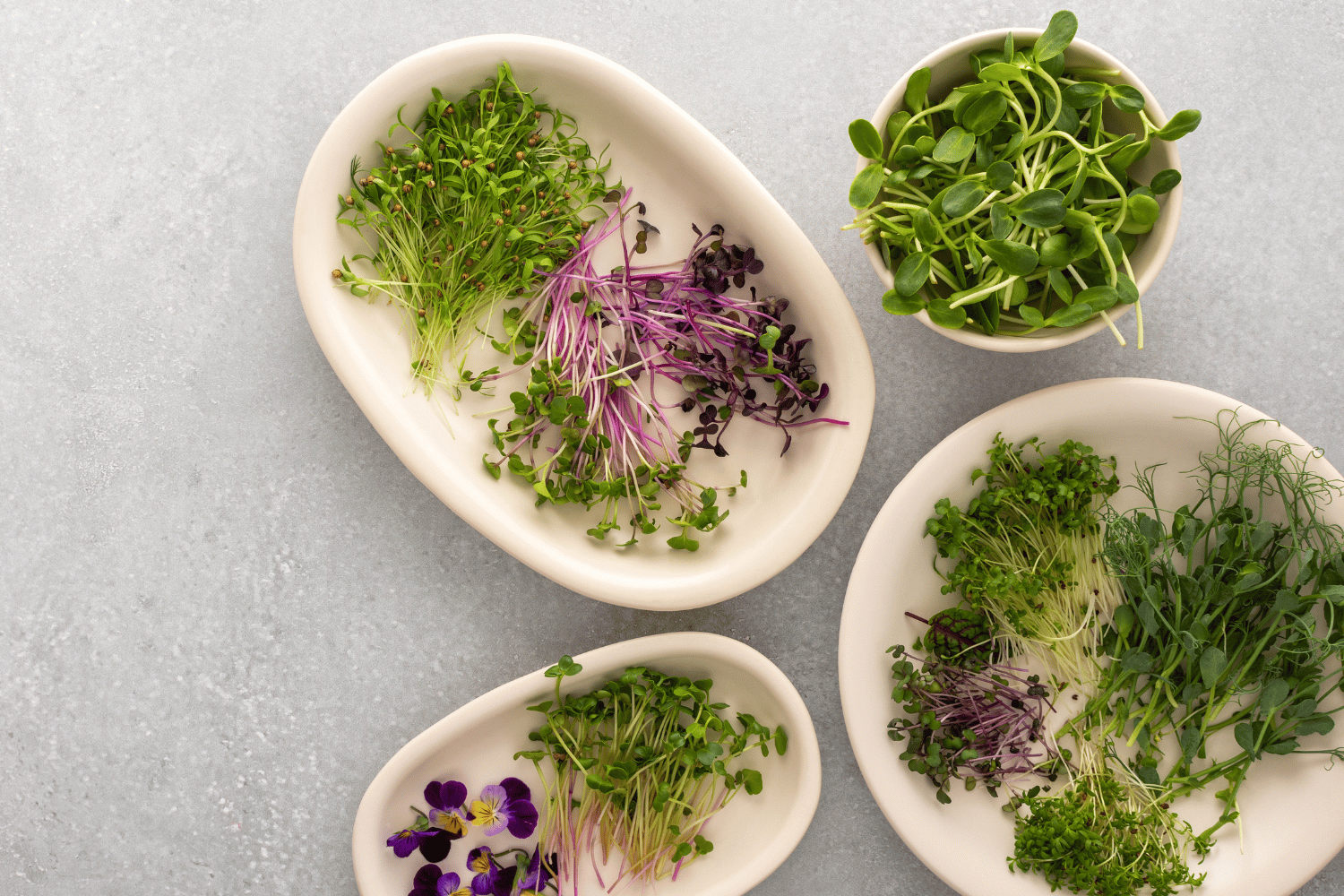 Jak pěstovat microgreens doma: jednoduchý návod krok za krokem