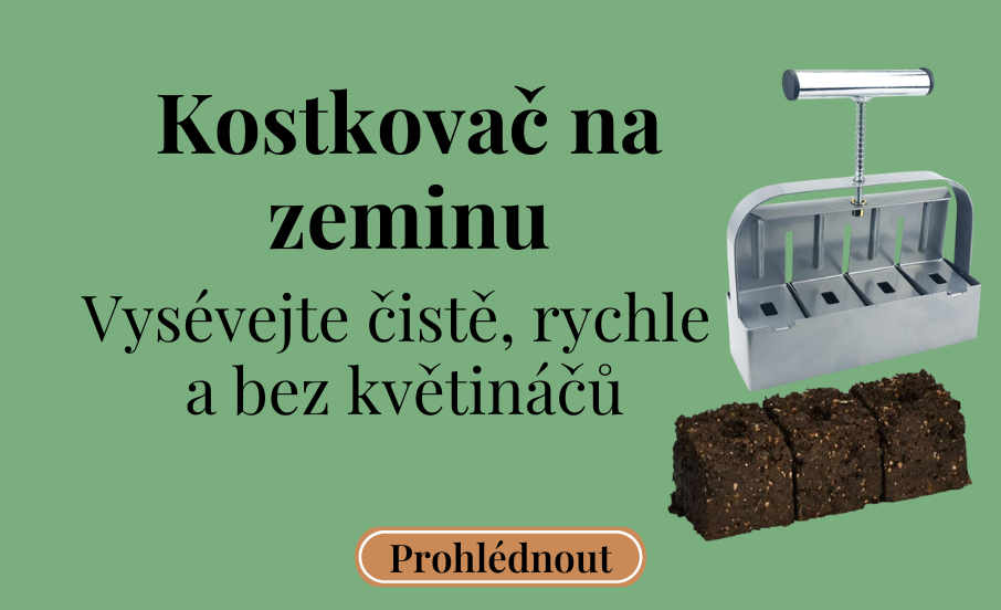 Kostkovač