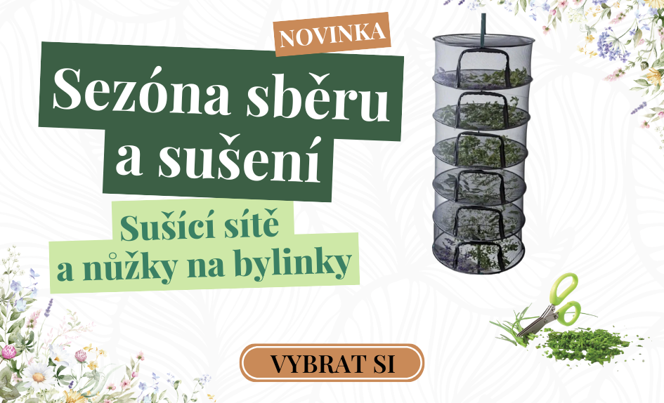 Sušení