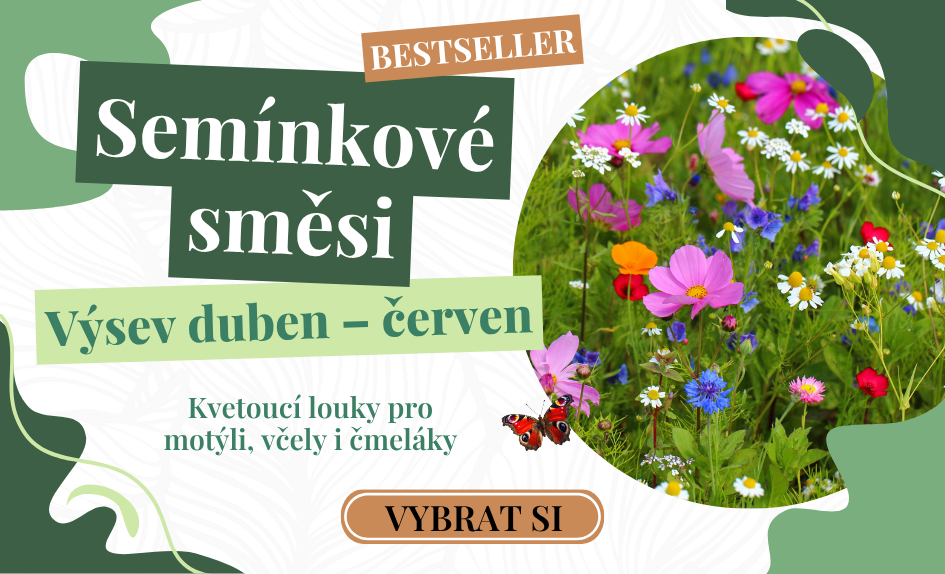 Semínkové směsi