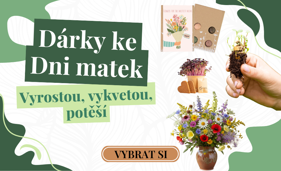 Den matek
