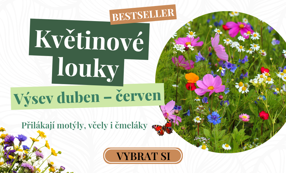 Semínkové směsi