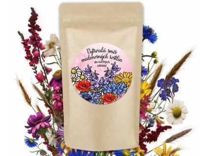 Snímek obrazovky 2026 03 13 135256