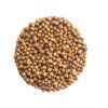 koriandr seminka microgreens 9562 l