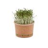 vojteska seminka na kliceni a microgreens 9553 l