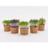 Pěstební sada Microgreens Tiny Greens
