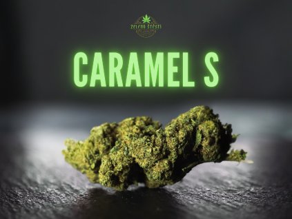CBD květ "CARAMEL S" Big Buds