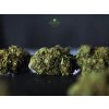 CBD květ "STRAWBERRY" Big Buds