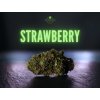 CBD květ "STRAWBERRY" Big Buds