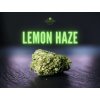 CBD Květ “LEMON HAZE” Big Buds