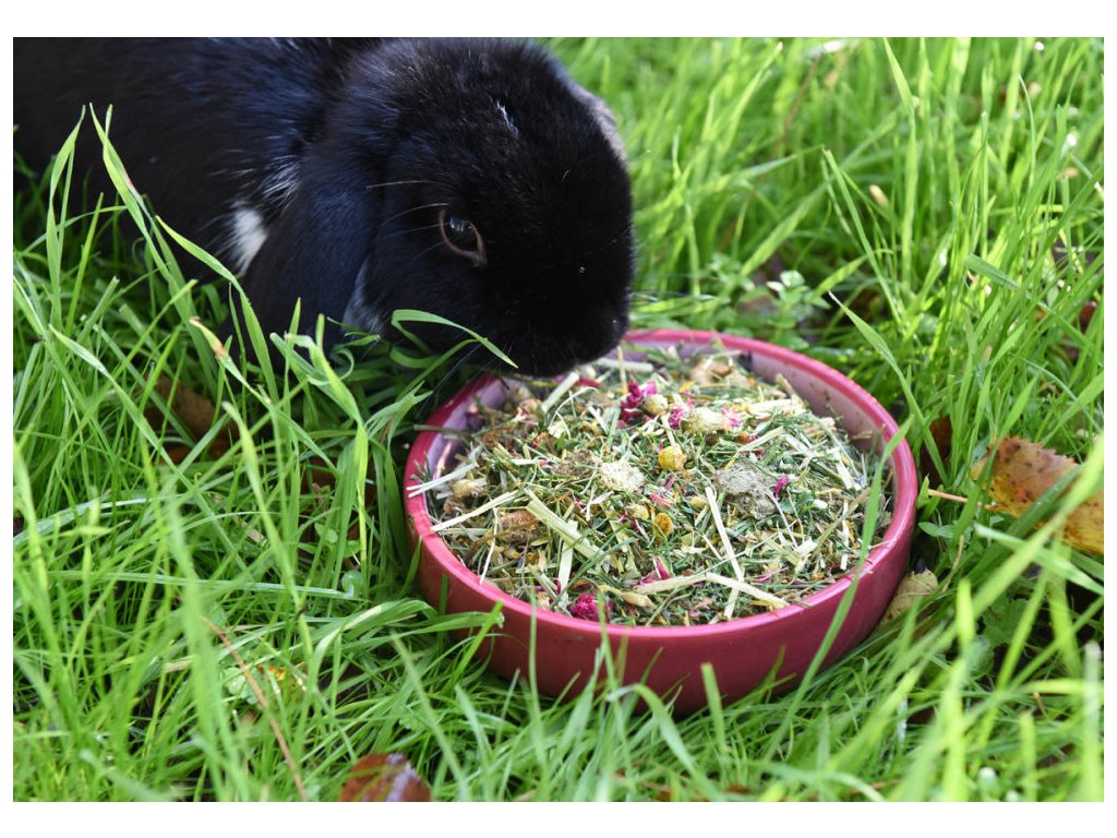 Krmivo pro králíky