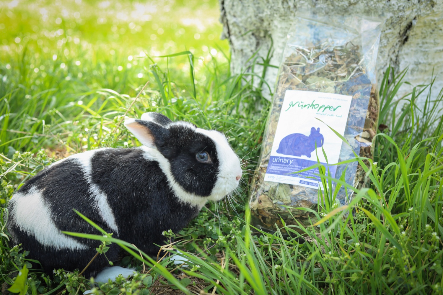 Krmivo na močové cesty pro králíky a morčata