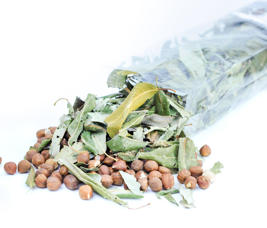 gruenhopper-hazelnut~3
