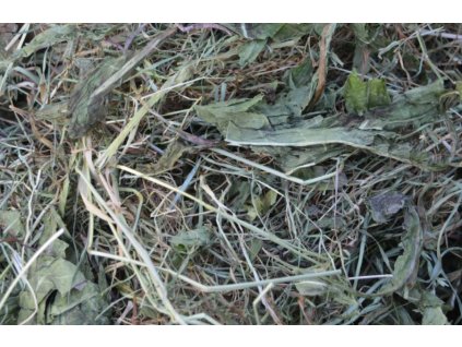 Lucni seno s pampeliskou