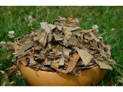 ginkgoblaetter