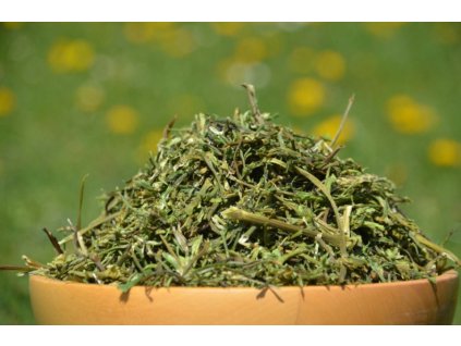 koprove stonky kralik morce