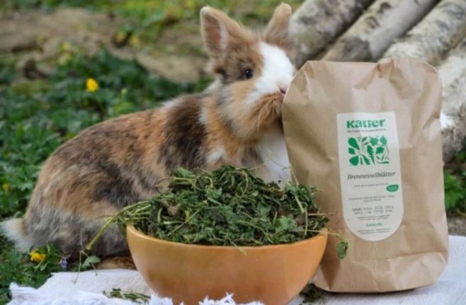 🐰 Dopřej svému králíkovi něco, co miluje… a zároveň mu prospívá! 🌿 Kopřiva je přirozený poklad plný vitamínů, který: ✅...