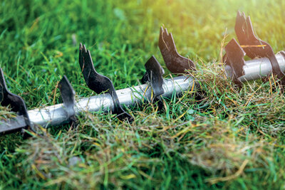 Zdravý a hustý trávník. Jak na to?