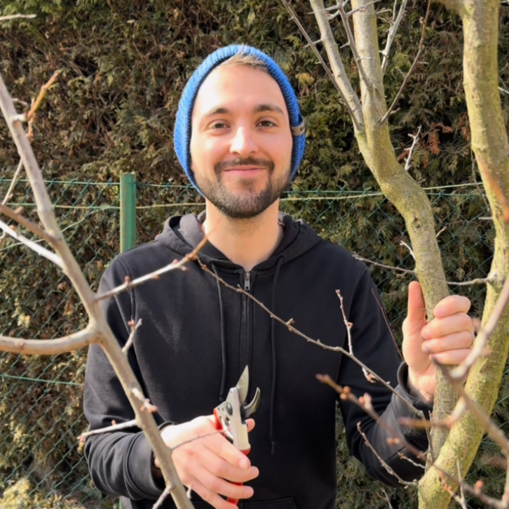 Průvodce řezem ovocných stromů: Kdy a jak správně prořezávat?