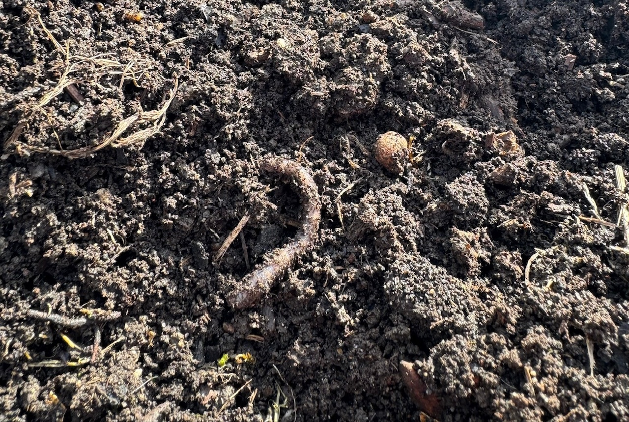 Jak na správný kompost