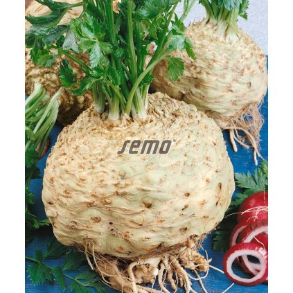 62784 0401 semo zelenina celer bulvovy maxim2