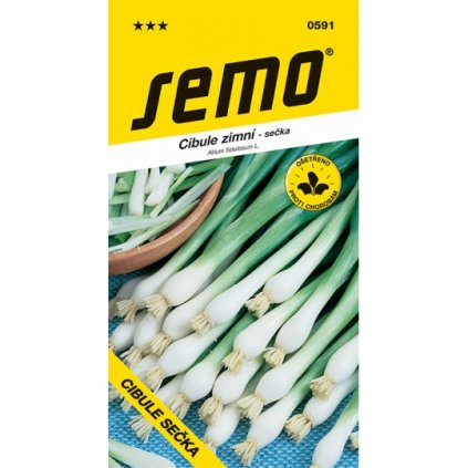 62886 1 cibule gerda secka zimni celorocne pro nat 2g