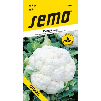 63165 1804 kvetak opaal