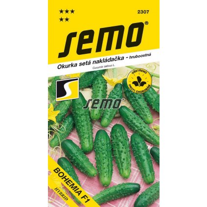 OKURKA BOHEMIA F1 - NAKL. HR 2G