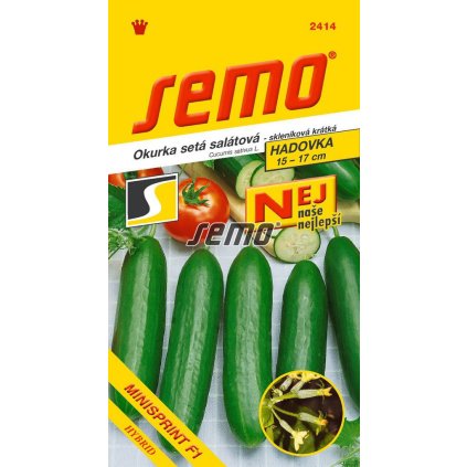 OKURKA MINISPRINT F1 - SKLEN. KR. 10S - SÉRIE NEJ