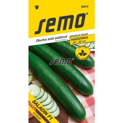 OKURKA SALADIN F1 - SKLEN. DL 10S