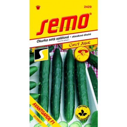 63396 avantgarde f1 okurka salatova