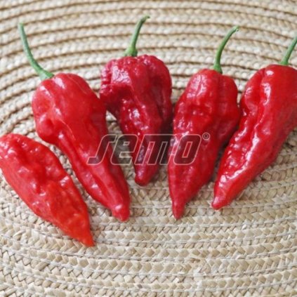 63561 1 paprika bhut jolokia red zel extremne silne paliva 15s