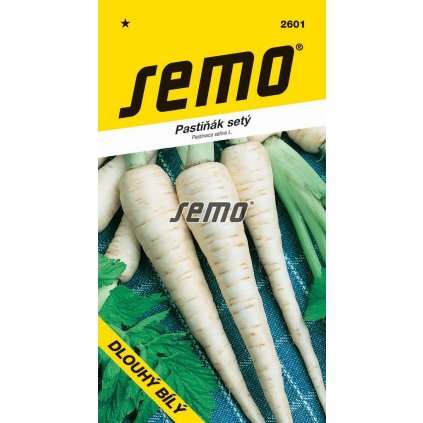 63585 1 pastinak dlouhy bily 2g